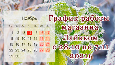 График работы магазина в выходные дни с 28.10.2021 по 07.11.2021, согласно Указа президента РФ