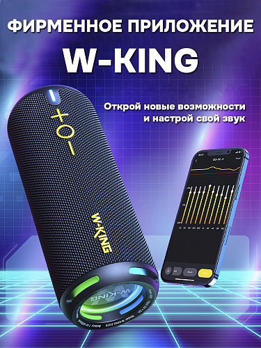 Колонка беспроводная W-King D320