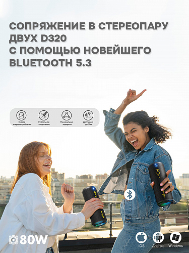 Колонка беспроводная W-King D320