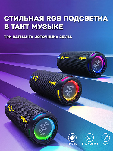 Колонка беспроводная W-King D320